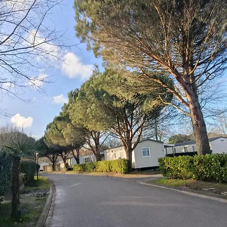 Mobil Confort La Reserve 营地 Gastes